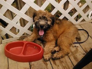 224803_777232188973837_1325585039532914570_n